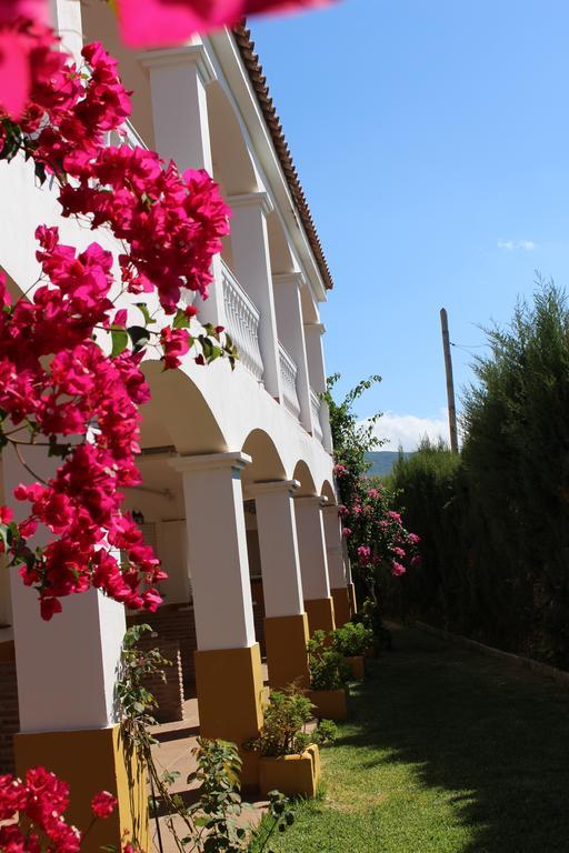 Apartamentos Bolonia Paraiso Exterior photo